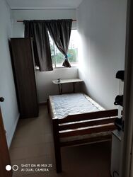 Blk 143 Petir Road (Bukit Panjang), HDB 4 Rooms #396242351